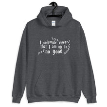 Load image into Gallery viewer, &quot;I&#39;m Up to No Good&quot; Unisex Hoodie
